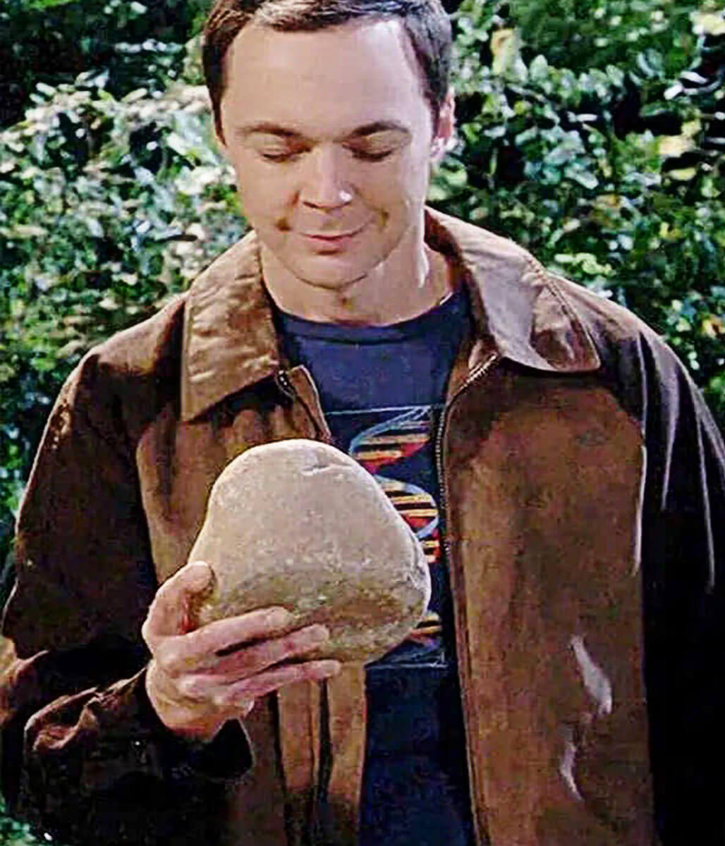 Sheldon Cooper Big Bang Theory Season 10 Brown Cotton Jacket